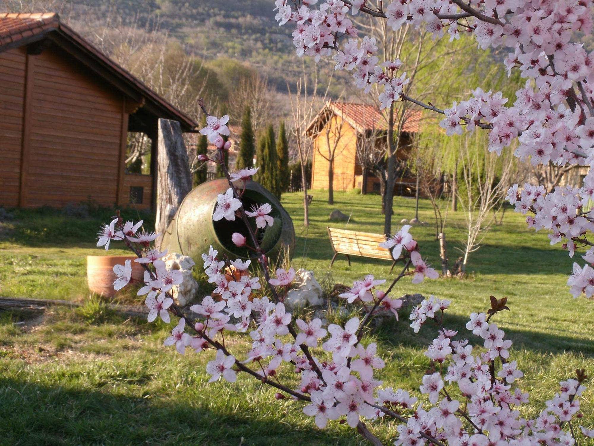 Apartamentos Rurales El Rincon Del Jerte Rebollar  المظهر الخارجي الصورة